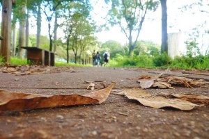 8625446674_182cebf86c_z