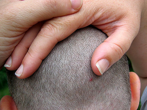 27334661_0abeabe071_z